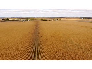 Property photo 9 - IMPORTANT INDIANA LAND AUCTION - 346+/- ACRES - 3 FARMS OFFERED IN 9 TRACTS IN WAYNE COUNTY, INDIANA